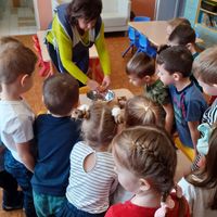 131418085 244712497241393 4123496399673245709 n